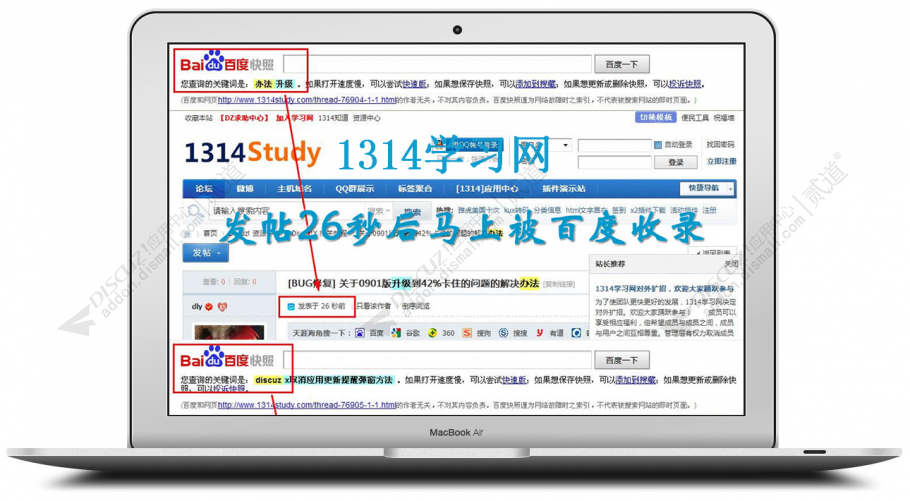 discuz1314SEO超级PING截图4