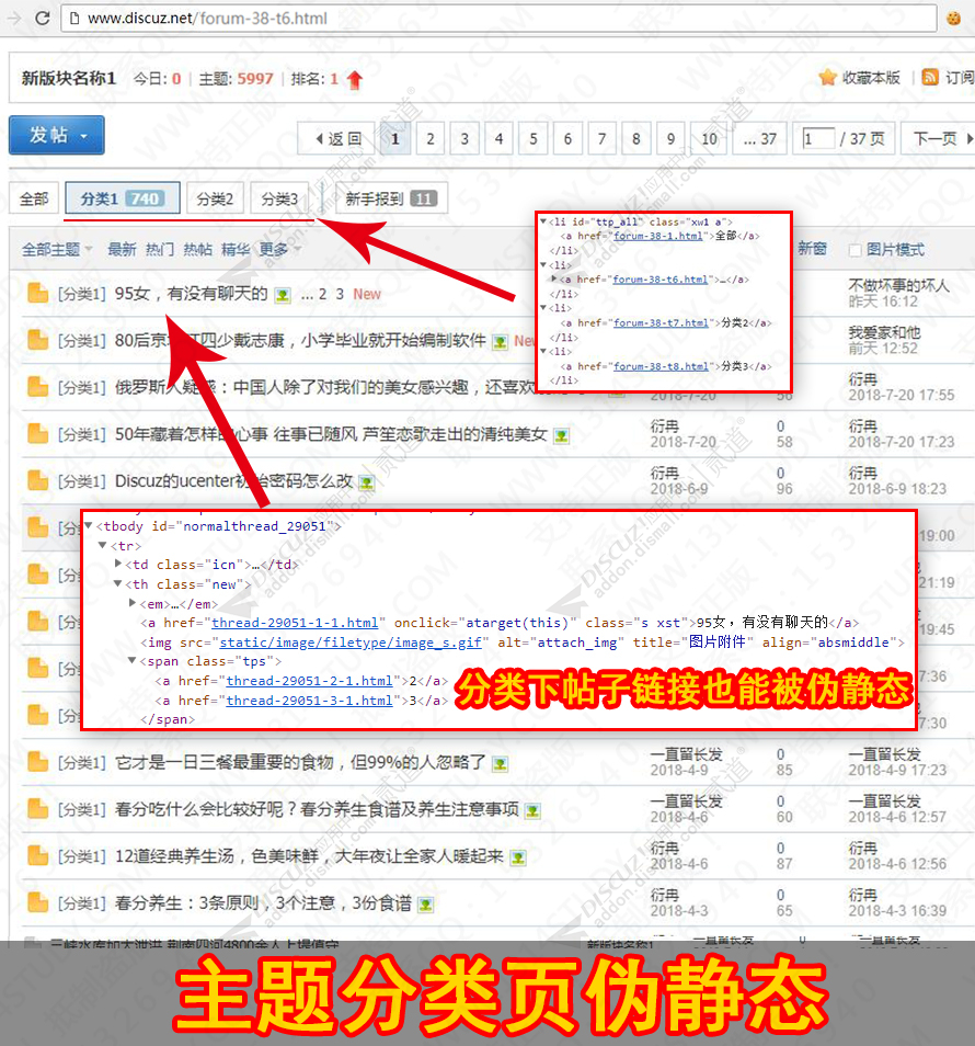 discuzSEO主题分类伪静态截图2
