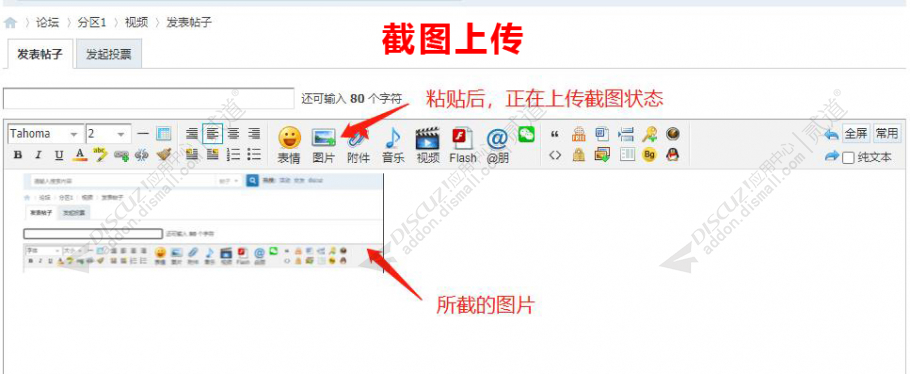 discuz截图粘贴上传截图3