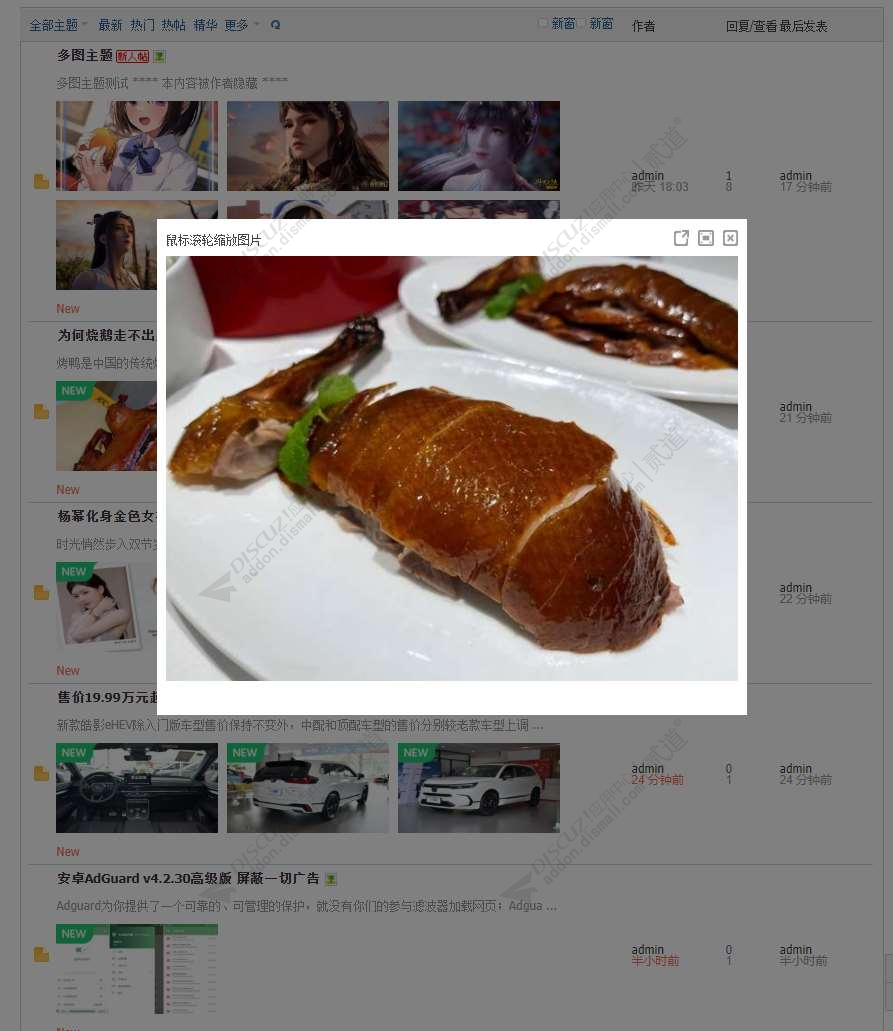 discuz列表显示图片+摘要截图3