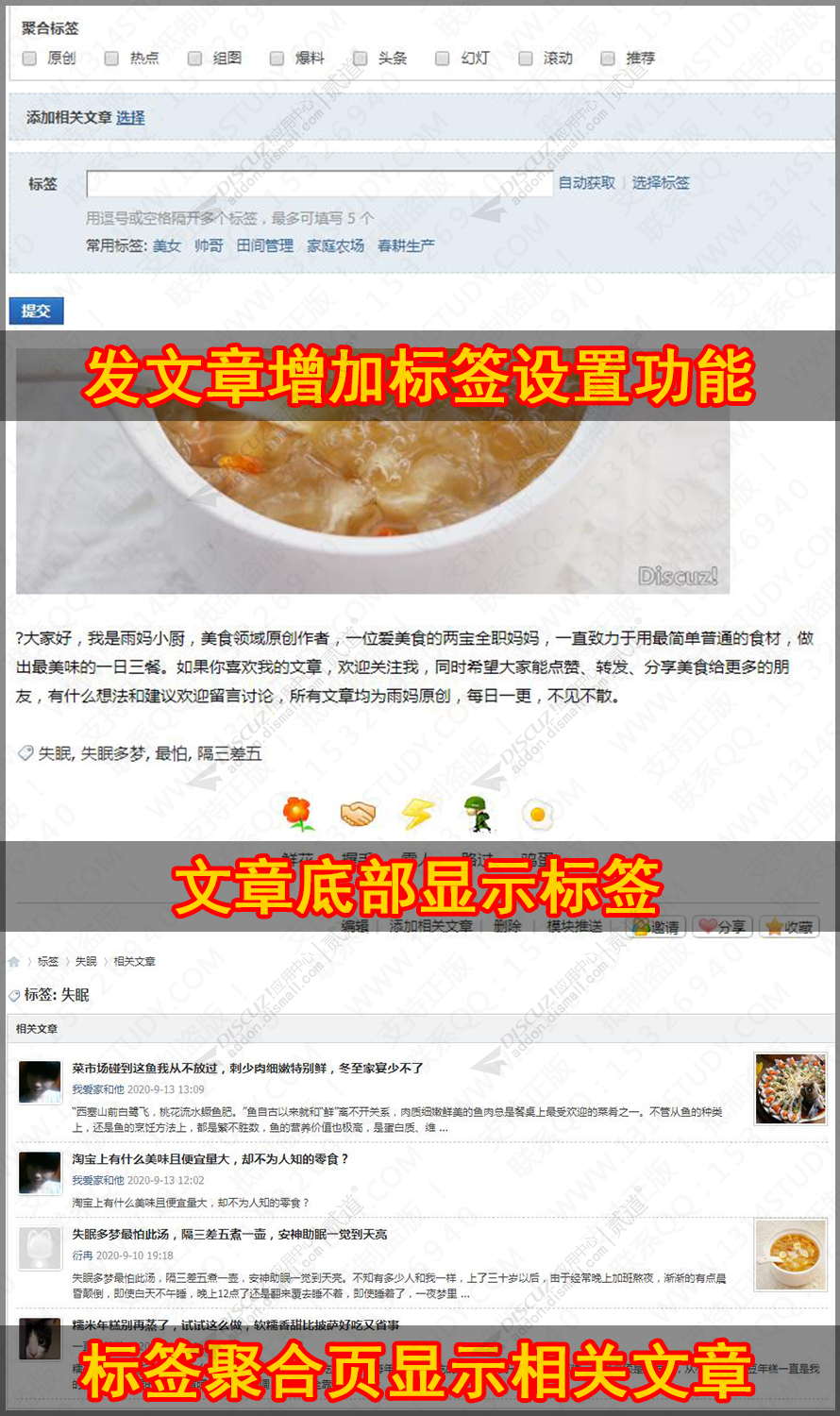 discuzSEO门户文章标签截图1