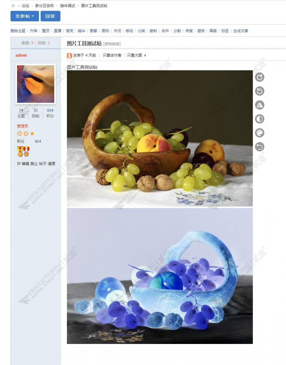 discuzDSVUE图片扶正截图1