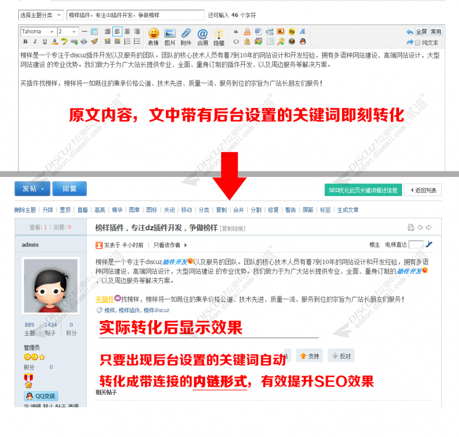 discuz门户论坛内链SEO截图3