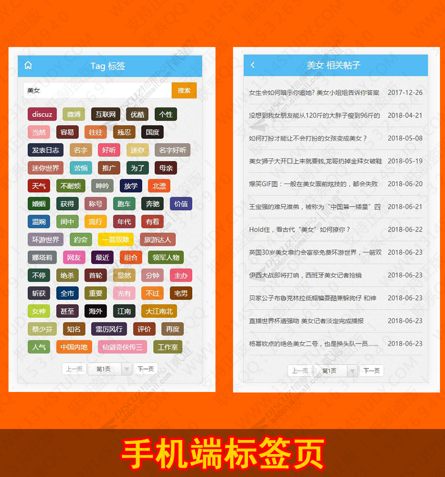 discuzSEO标签页标题优化截图2