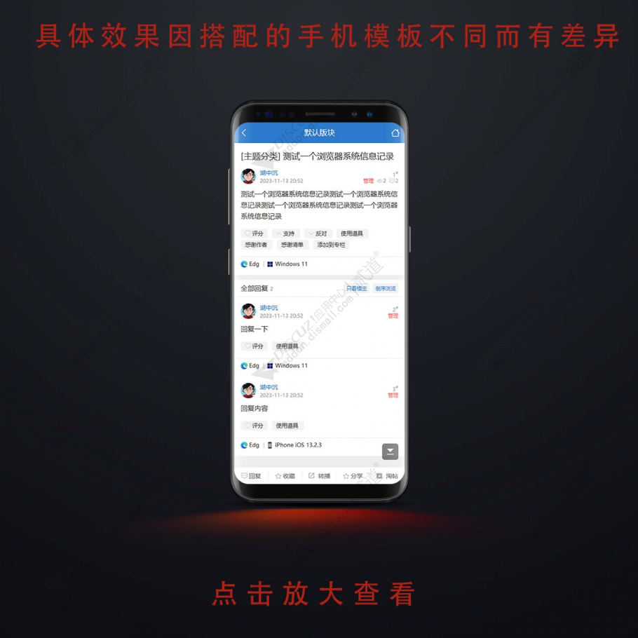 discuz帖子系统浏览器信息截图2
