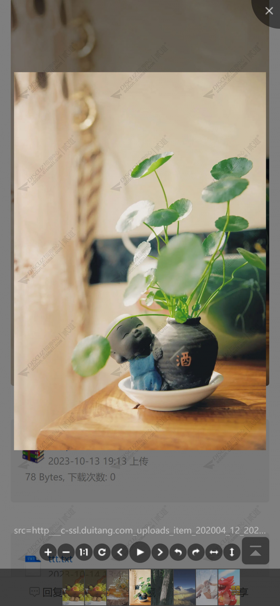 discuz图片查看器截图1