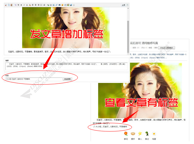 discuz①文章标签截图1