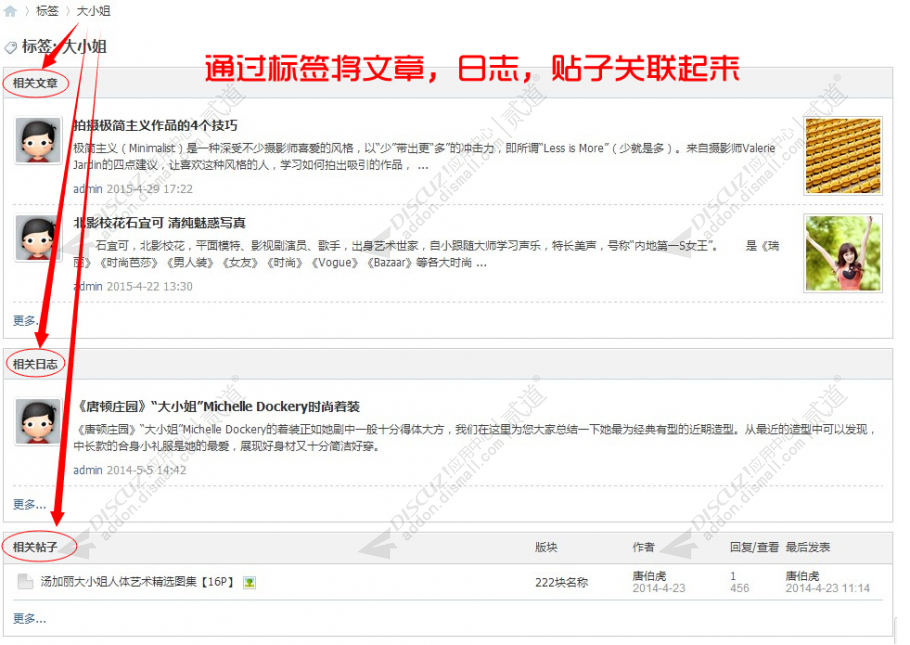 discuz①文章标签截图2