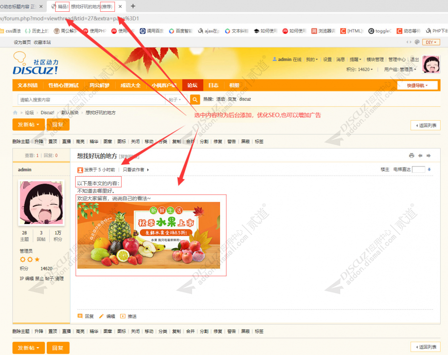 discuzSEO动态标题内容截图1
