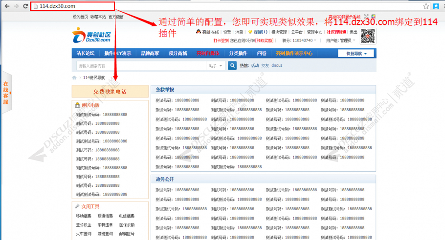 discuz亮剑插件绑定域名截图2