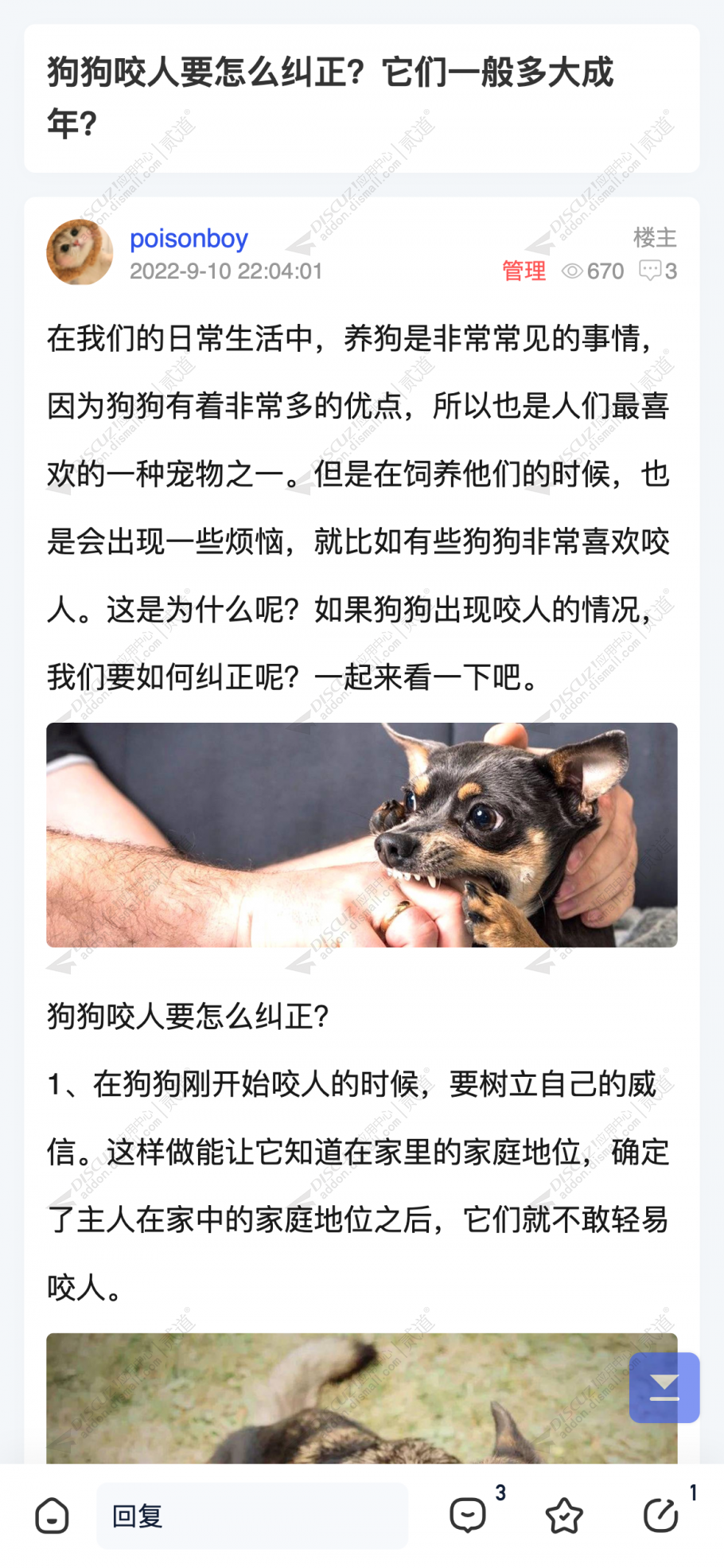 discuz简单美化APP手机版截图2