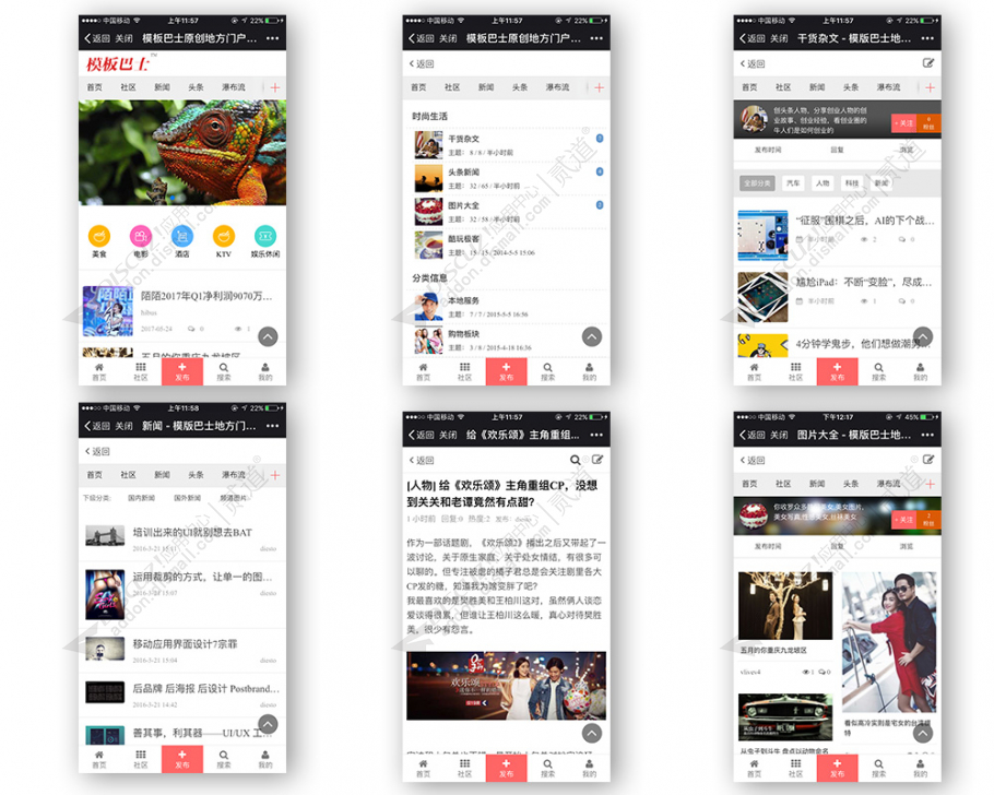 discuz门户新媒体+手机版截图2