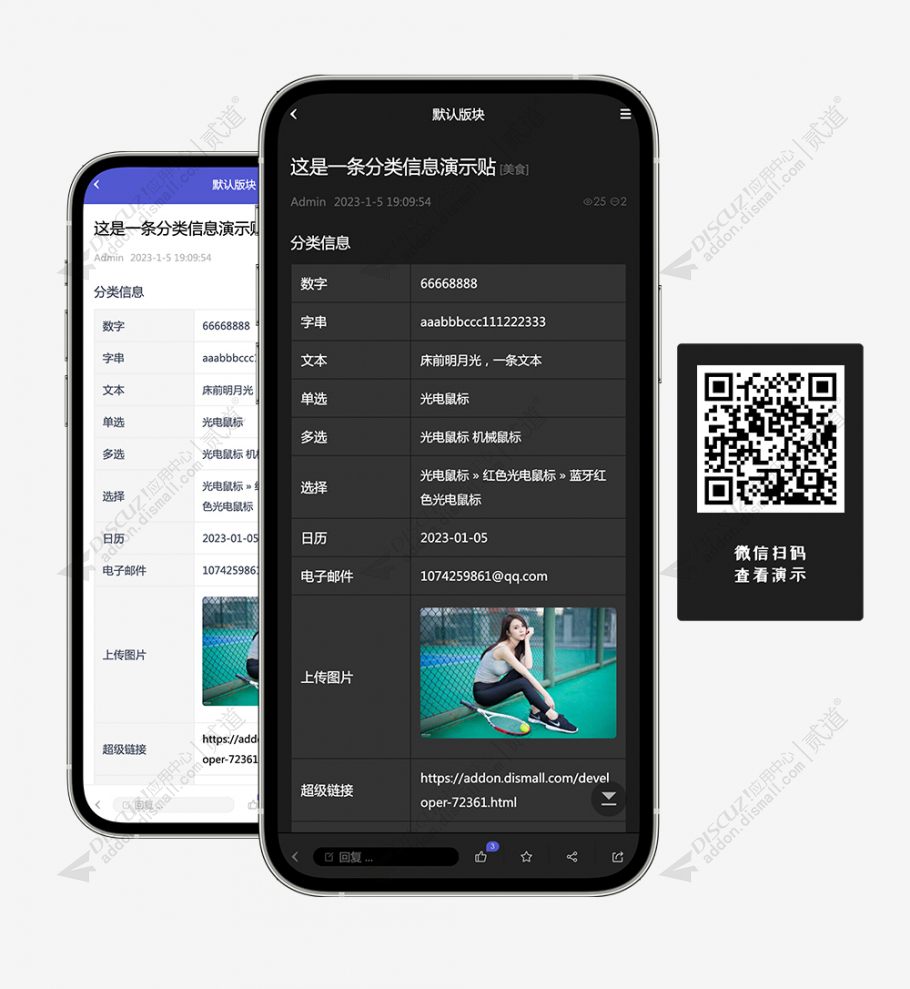 discuz简洁雅致通用截图4