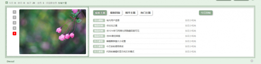 discuz空山新雨后（古风）截图4