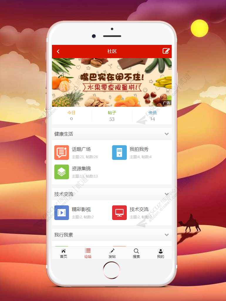 discuz艺迪轻触屏版截图2