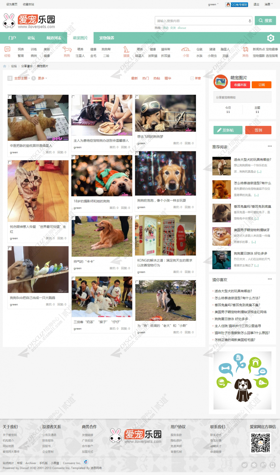 discuz宠物社区风格截图3