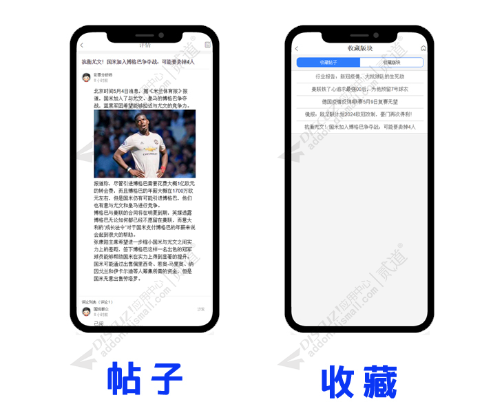 discuz仿500彩票资讯论坛截图3