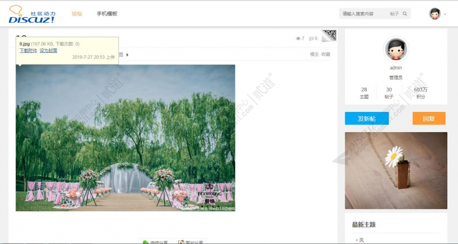 discuzAphly清新截图3